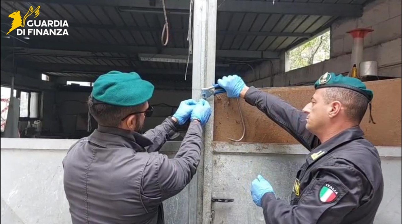 La Guardia di Finanza sequestra un quintale di frattaglie per la produzione di 