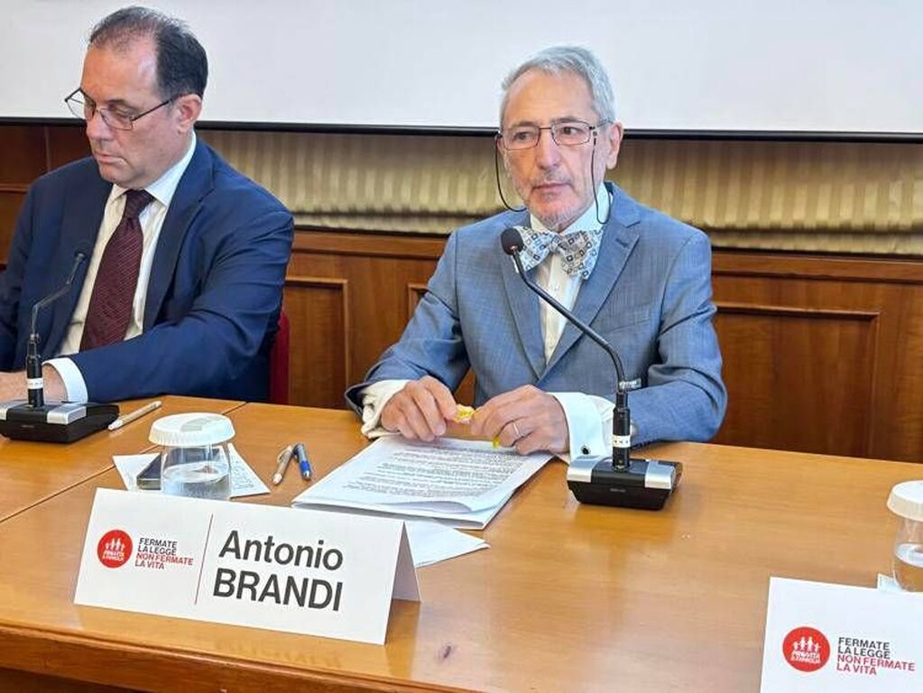 Fine vita, Brandi (Pro Vita Famiglia): "L'85% dei bambini aventi diritto non riceve cure palliative'"