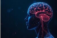 Estate, i consigli dei neurologi per la salute del cervello in vacanza