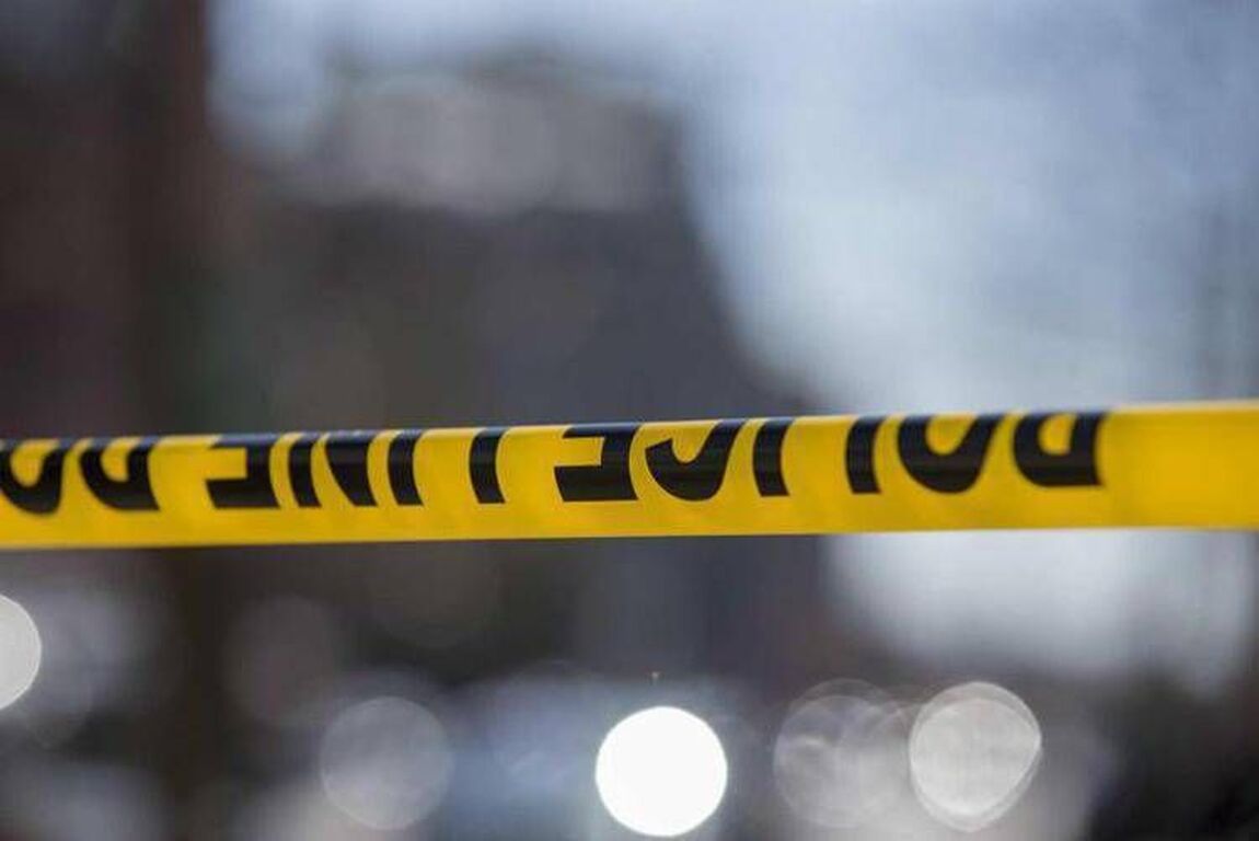 Usa, auto sulla folla a Los Angeles: almeno 20 feriti