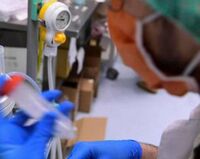 Batterio mangiacarne, l'allarme dell'agenzia Usa Cdc: "Fino a 200 casi l'anno, 1 su 5 mortale"