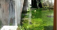 Sarno, svolta verde: meno scarichi e più tutela per il fiume grazie al piano “Energie per il Sarno”