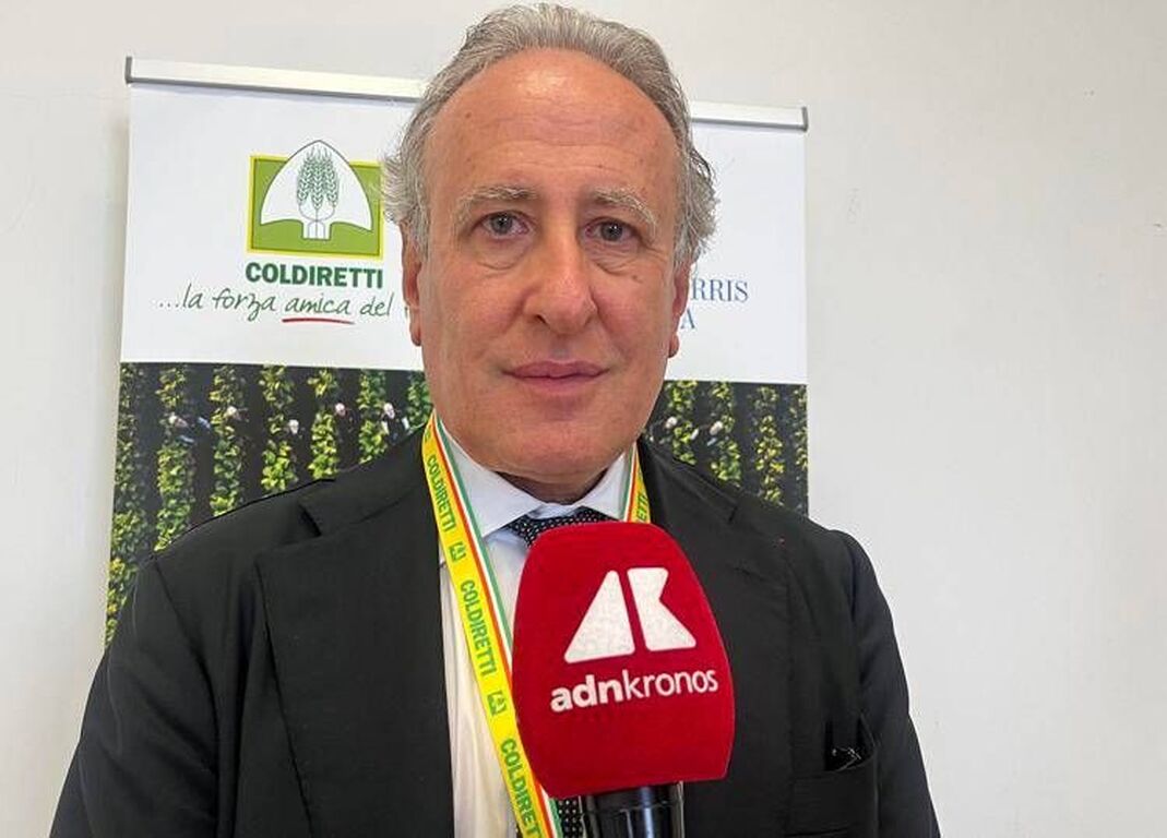 Tabacco, Lorito (Federico II): "La filiera integrata è la chiave per i territori, i giovani e il rilancio dell'agricoltura"