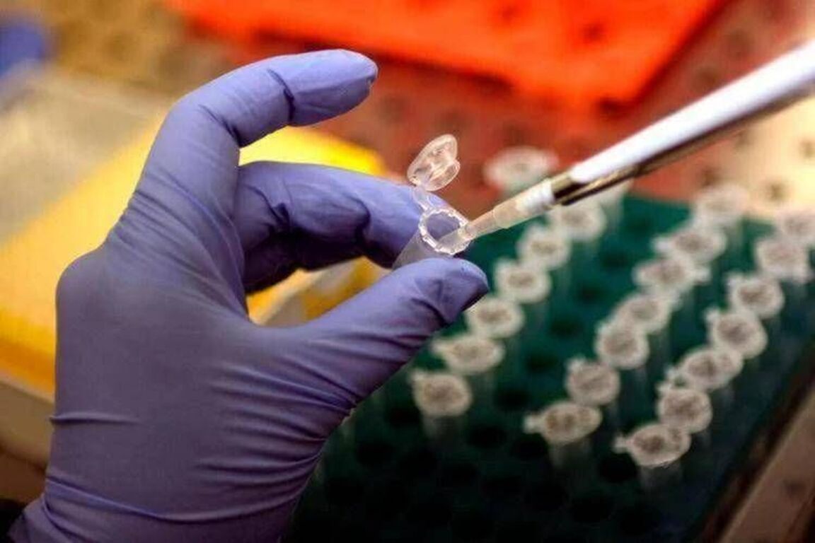 Tumori, Fondazione Aiom: "Oltre 1,2 mln di italiani ad alto rischio forme ereditarie"