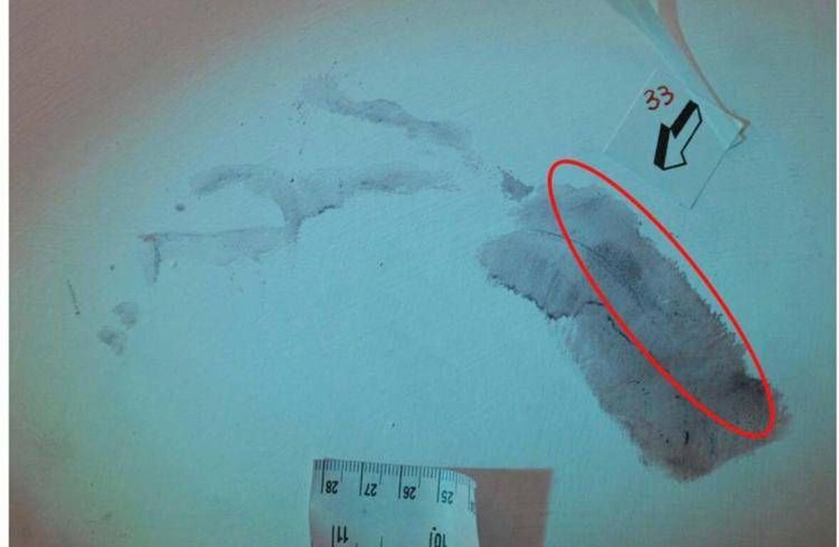 Caso Garlasco, consulenti divisi: certezze e dubbi sull'impronta 33