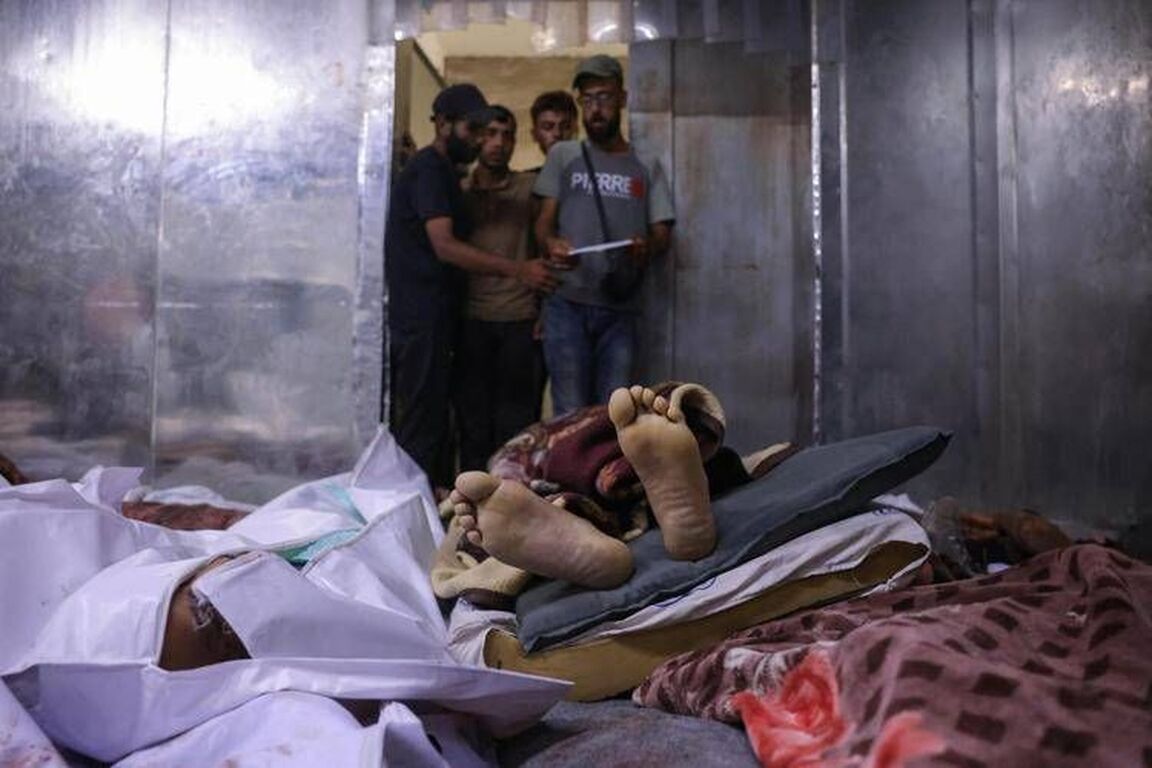 Gaza, "101 morti in 24 ore". Trump: "Hamas si arrenda e finirà la crisi umanitaria"