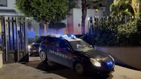 Vico Equense - Cani randagi attaccano turisti sui sentieri del Monti Lattari