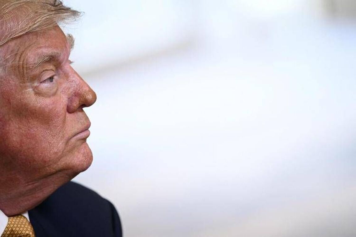 Dazi, Trump: "C'è in arrivo molto altro". Brasile ricorre al Wto