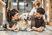 Assicurazioni per animali, da Poste coperture veterinarie su misura per ogni necessità