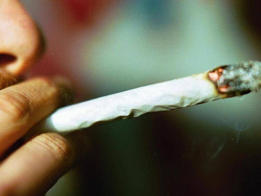 Cannabis, potenza in aumento: 5 cose da sapere su rischio psicosi