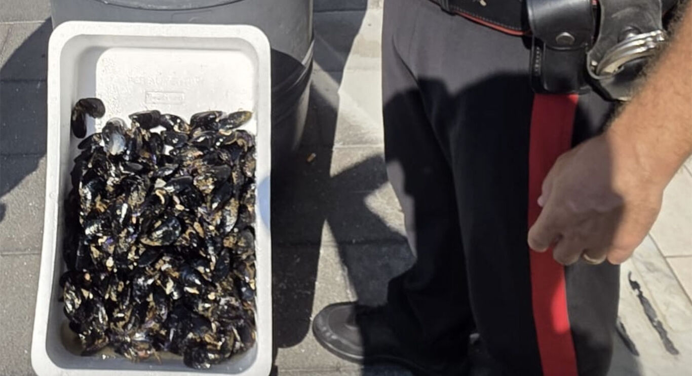 Boscoreale - Frutti di mare pericolosi: sequestrati 113 chili a venditori abusivi
