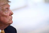 Ucraina, Trump: "Ottima call con leader europei e Zelensky, voto 10"