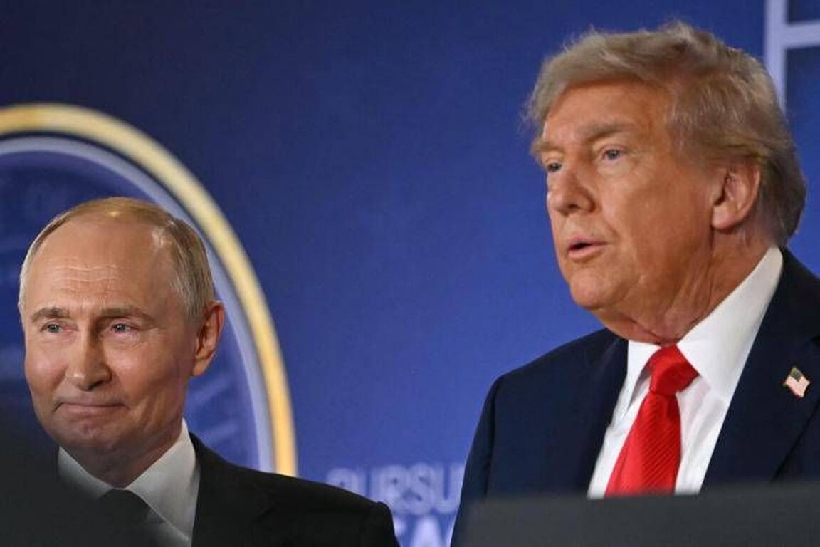 Trump: "Vladimir, ci vediamo presto". E Putin lo invita a Mosca
