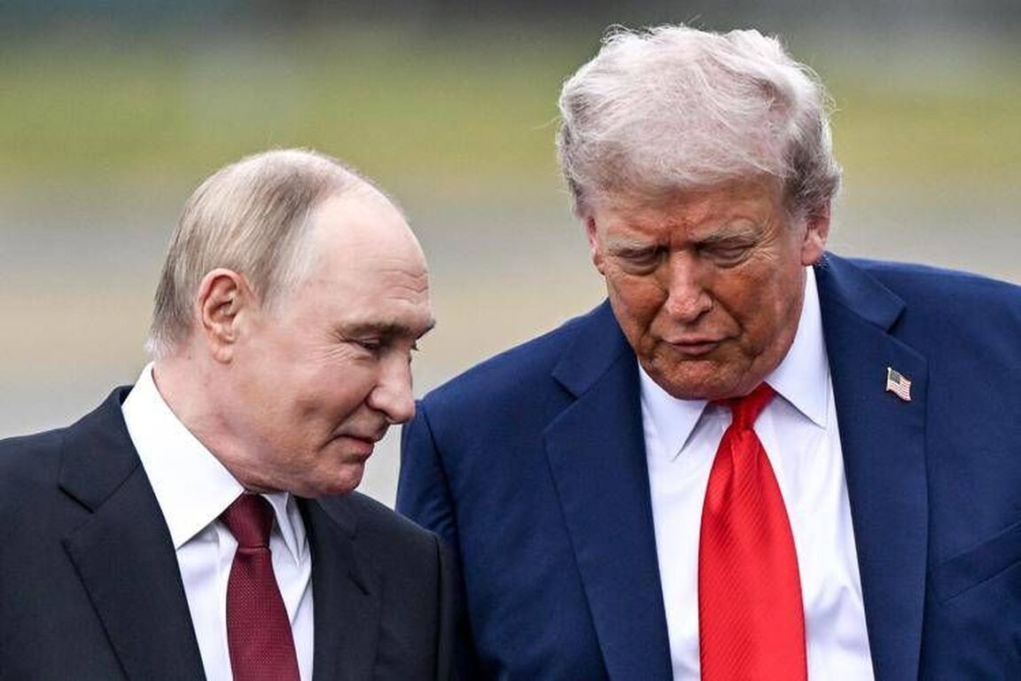 Ucraina, Trump: "D'accordo con Putin, serve accordo di pace e non tregua"