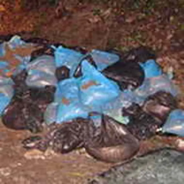 C.mare di Stabia. Sversa rifiuti illegalmente, cittadino denunciato