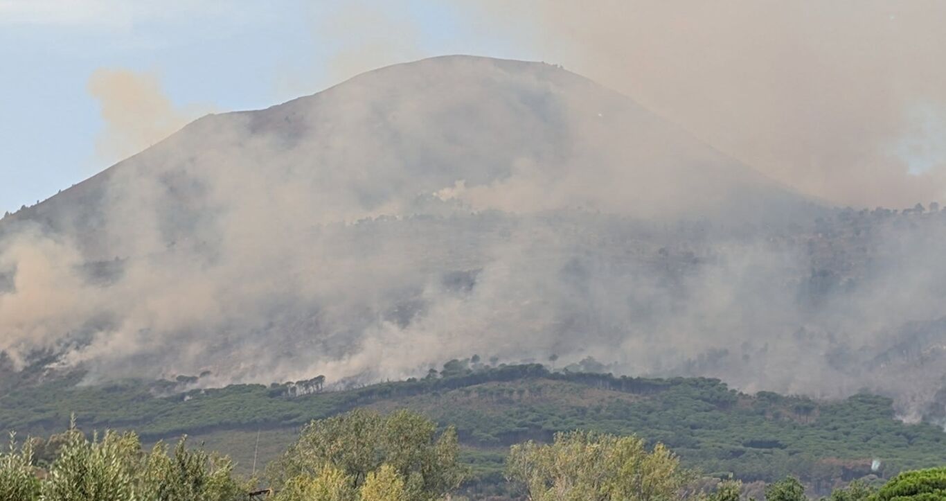 Terzigno Verde dopo l'incendio: “Così rinasce il Vesuvio”