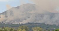 Terzigno Verde dopo l'incendio: “Così rinasce il Vesuvio”
