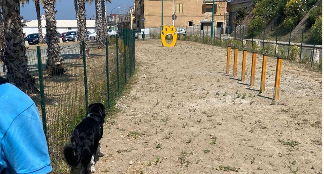 Torre del Greco, nasce il “cane di quartiere”: tutela e dignità per i randagi