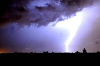 Maltempo, forte temporale sulla Romagna: allagamenti e alberi caduti