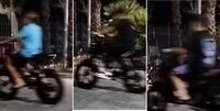 Torre Annunziata - Villa Comunale ostaggio di degrado e vandalismi
