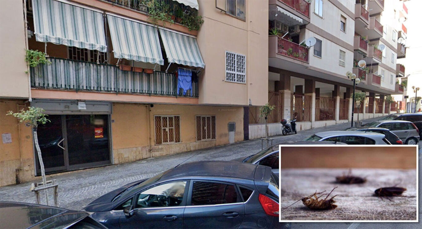 Torre Annunziata - Emergenza igienica in via Fusco: marciapiedi invasi dalle blatte