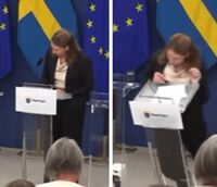 Ministra della Salute svedese Elisabet Lann sviene in conferenza stampa - Il video