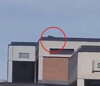 Charlie Kirk ucciso, ipotesi cecchino sul tetto: il video