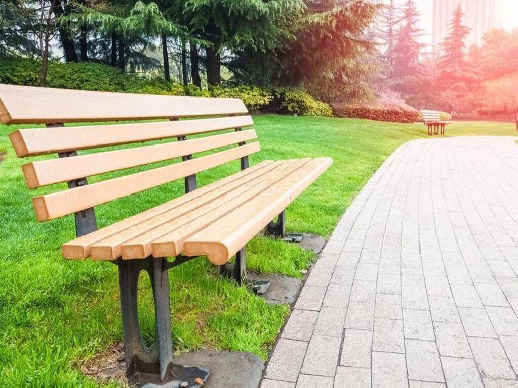Più alberi in città, tutti i benefici del verde nei centri urbani