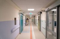 Fungo killer negli ospedali europei, l'alert Ecdc: Italia fra Paesi più colpiti