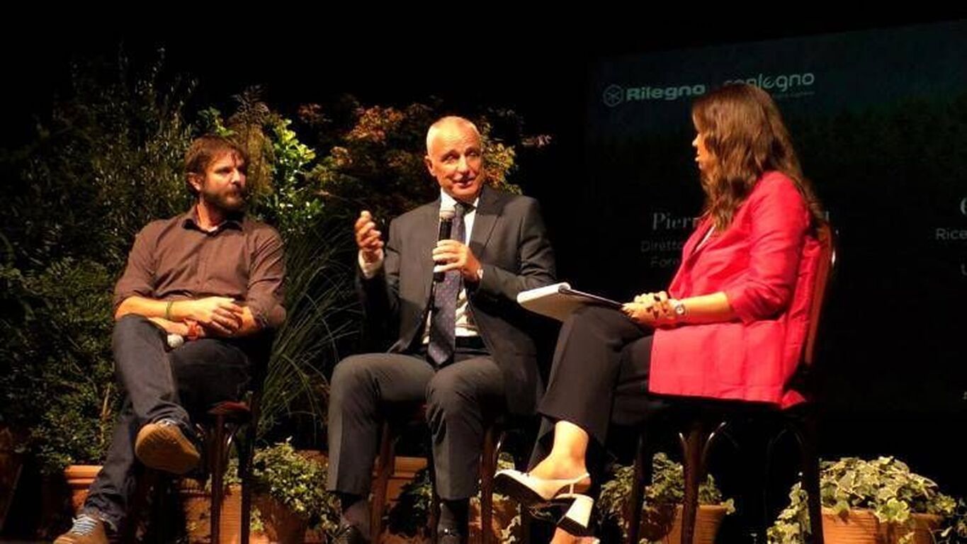 Legno, Vacchiano (uniMi): "L'attività di fotosintesi è a rischio diminuzione"