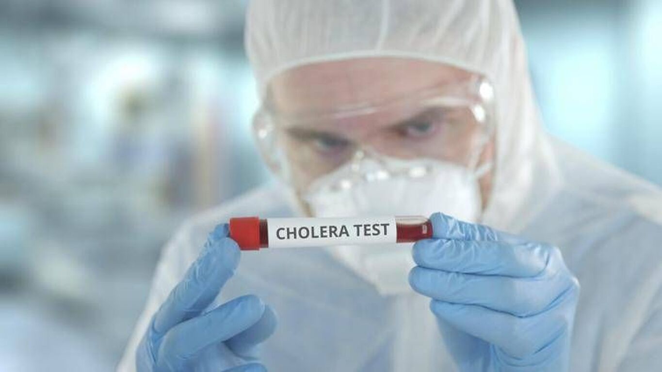 Impennata del colera nel 2024, Oms: "Più 50% morti e crisi continua nel 2025"