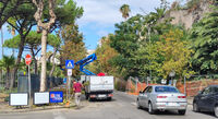 Torre Annunziata - Dopo viale Marconi, occhi puntati sulla potatura degli alberi dei corsi principali