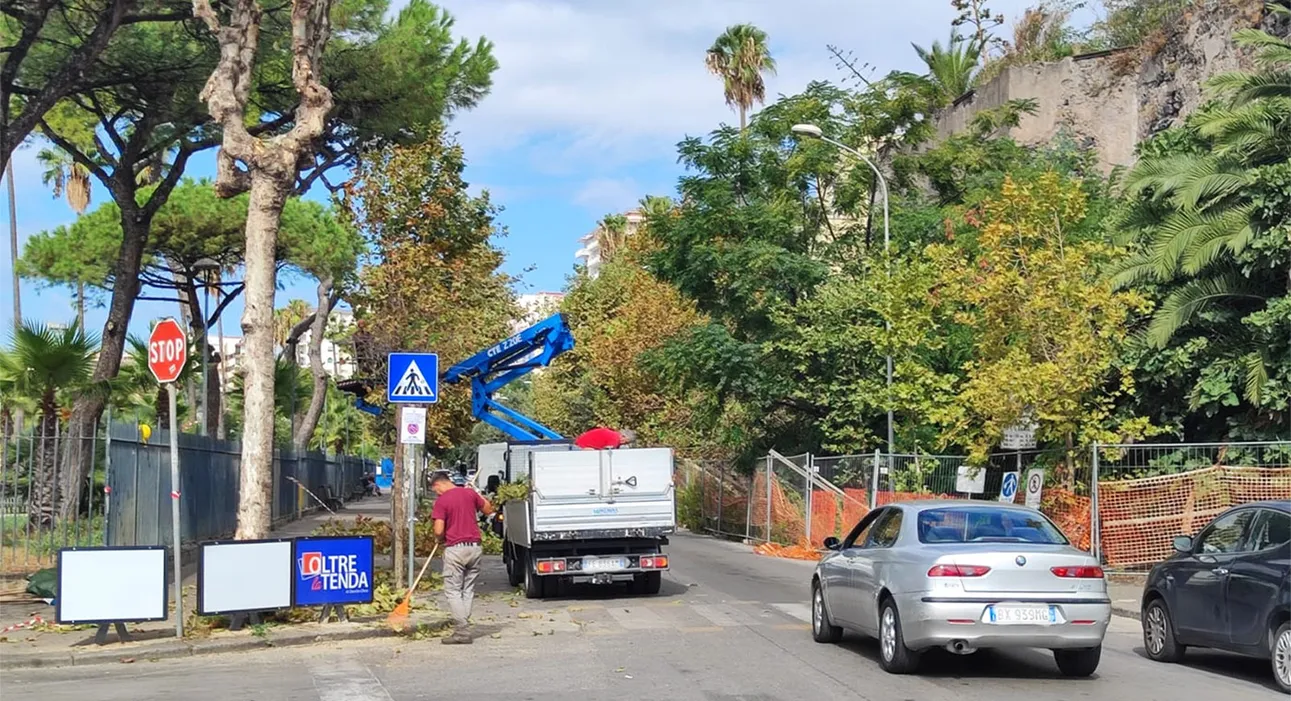 Torre Annunziata - Dopo viale Marconi, occhi puntati sulla potatura degli alberi dei corsi principali