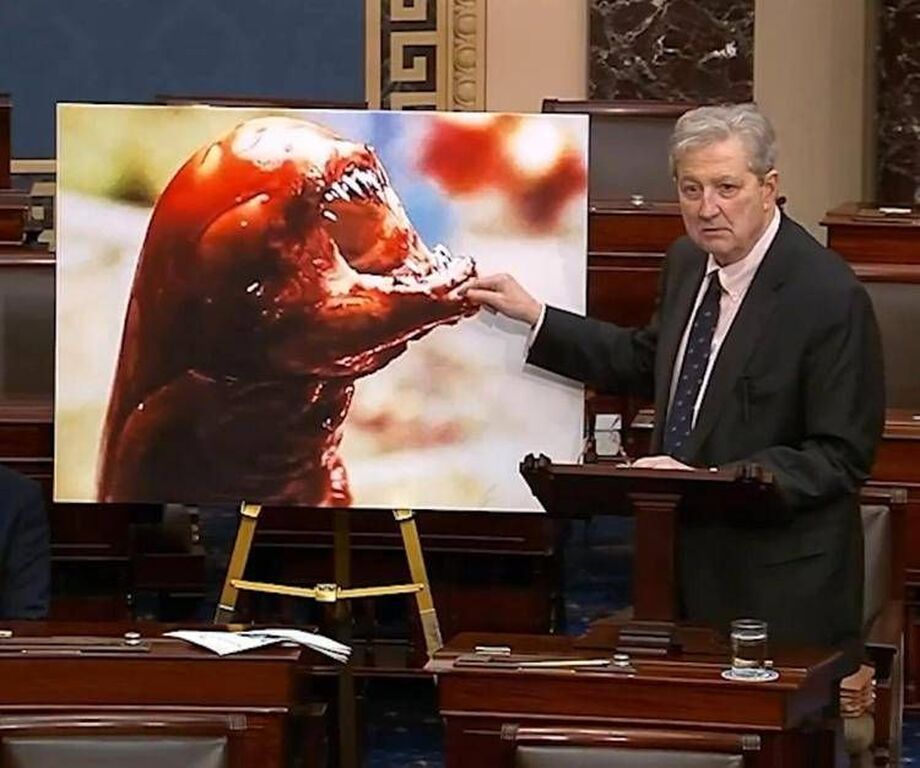 "I gamberi ti fanno diventare Alien", l'allarme del senatore Kennedy - Video