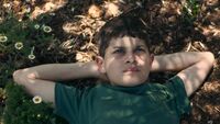 'The Sea' è il candidato agli Oscar per Israele, è bufera sul film