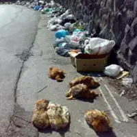 Via del Principio, la strada della monnezza