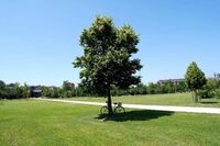 Estate piena nel weekend poi arriva l'autunno con forti temporali