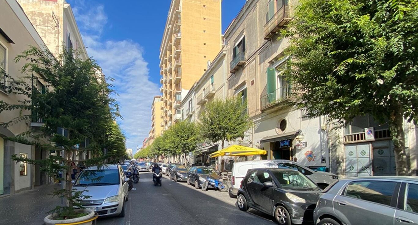 Torre Annunziata - Potatura alberi sui corsi principali della città: i divieti di sosta