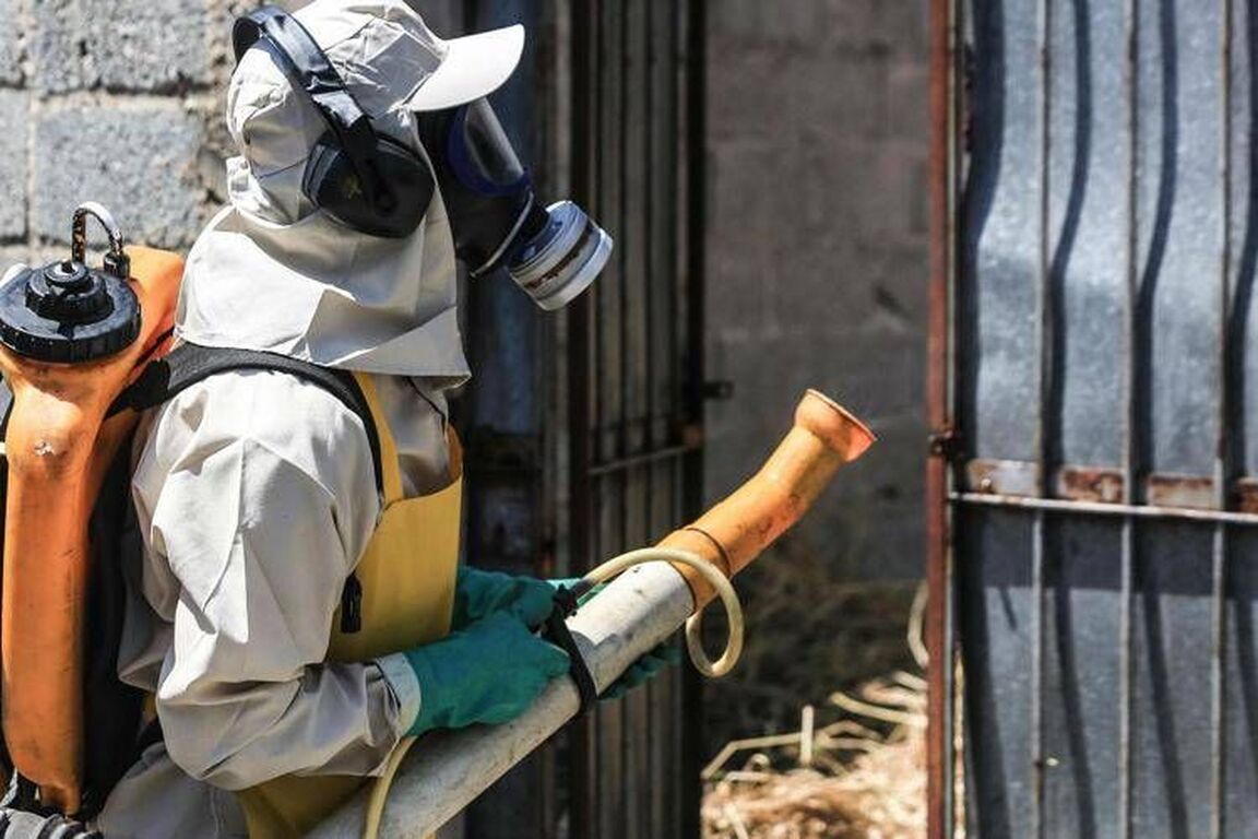 Dengue, un caso nel Comune di Colle Val d'Elsa nel Senese: scatta la disinfestazione