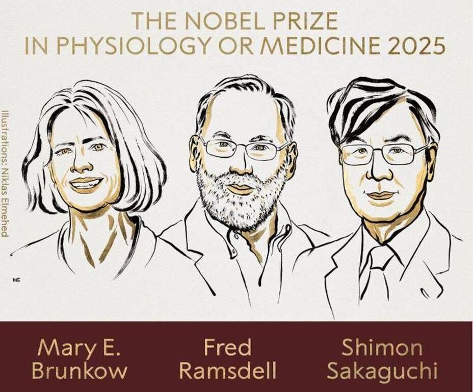 Nobel per la Medicina a Mary E. Brunkow, Fred Ramsdell e Shimon Sakaguchi