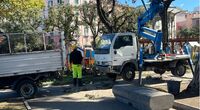 Castellammare - Oltre 900 mq di nuovi spazi verdi e più di 50 alberi per la rinascita della Villa Comunale