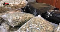 Napoli - Droga dalla Spagna per le piazze italiane: arresti e sequestro di 100 kg di stupefacenti