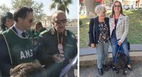 Torre del Greco -  Un ospite del canile trova casa grazie al Comune