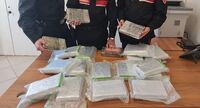 Portava nel portabagagli dell'auto 23 chili di cocaina: arrestata 40enne polacca