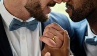 "Matrimonio gay contratto in Europa va riconosciuto", la sentenza della Corte Ue