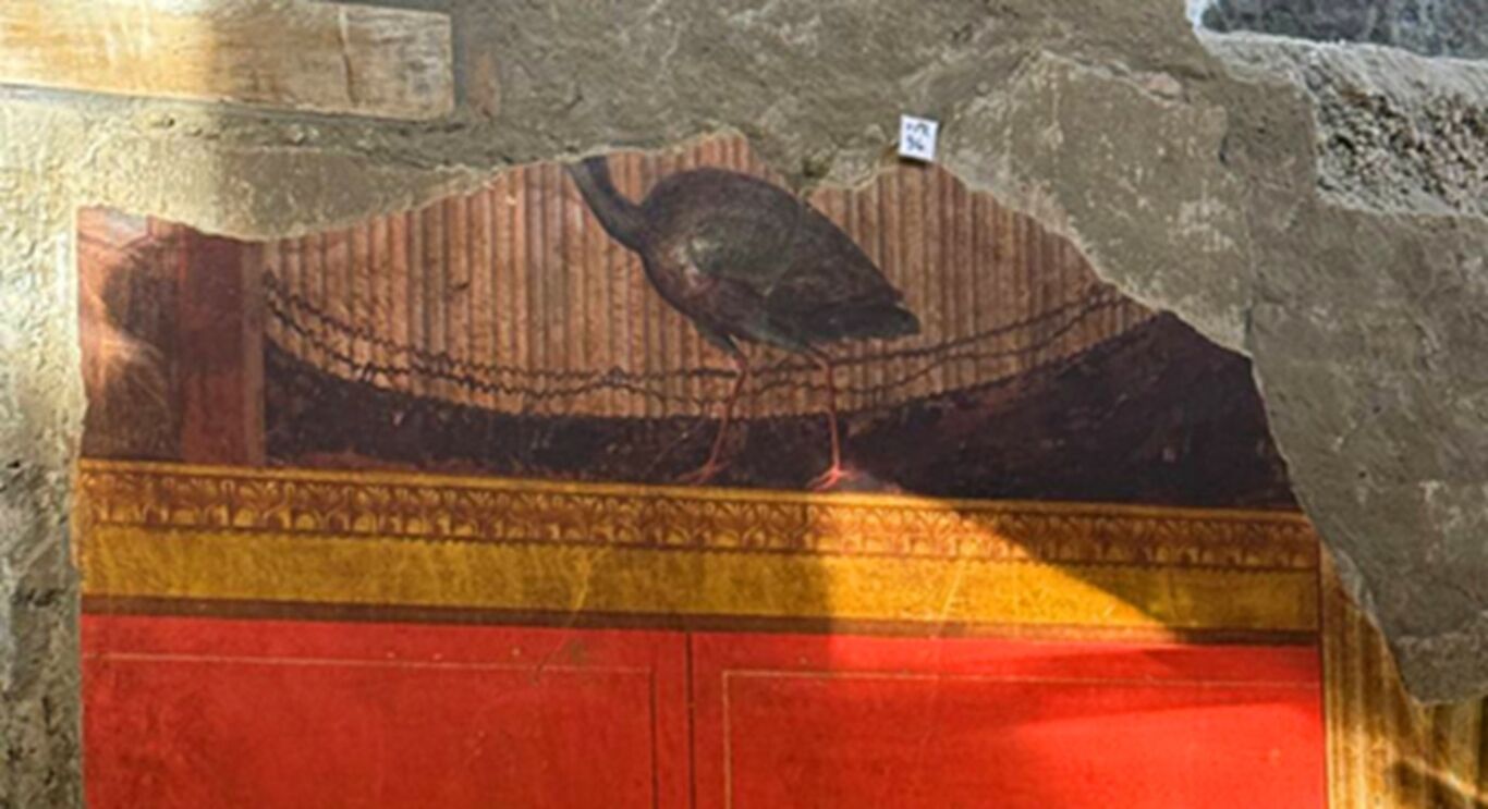 Torre Annunziata - Villa di Poppea, riemergono nuovi affreschi nel salone della Maschera e del Pavone