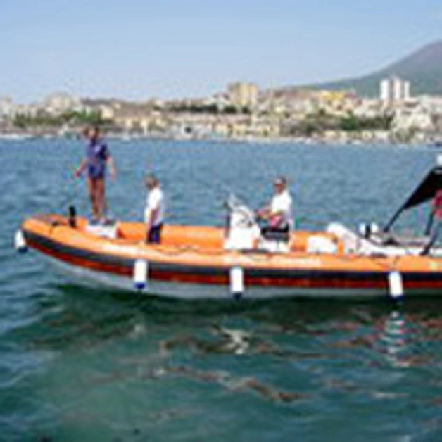 Continua a nuotare, senza voltarti!