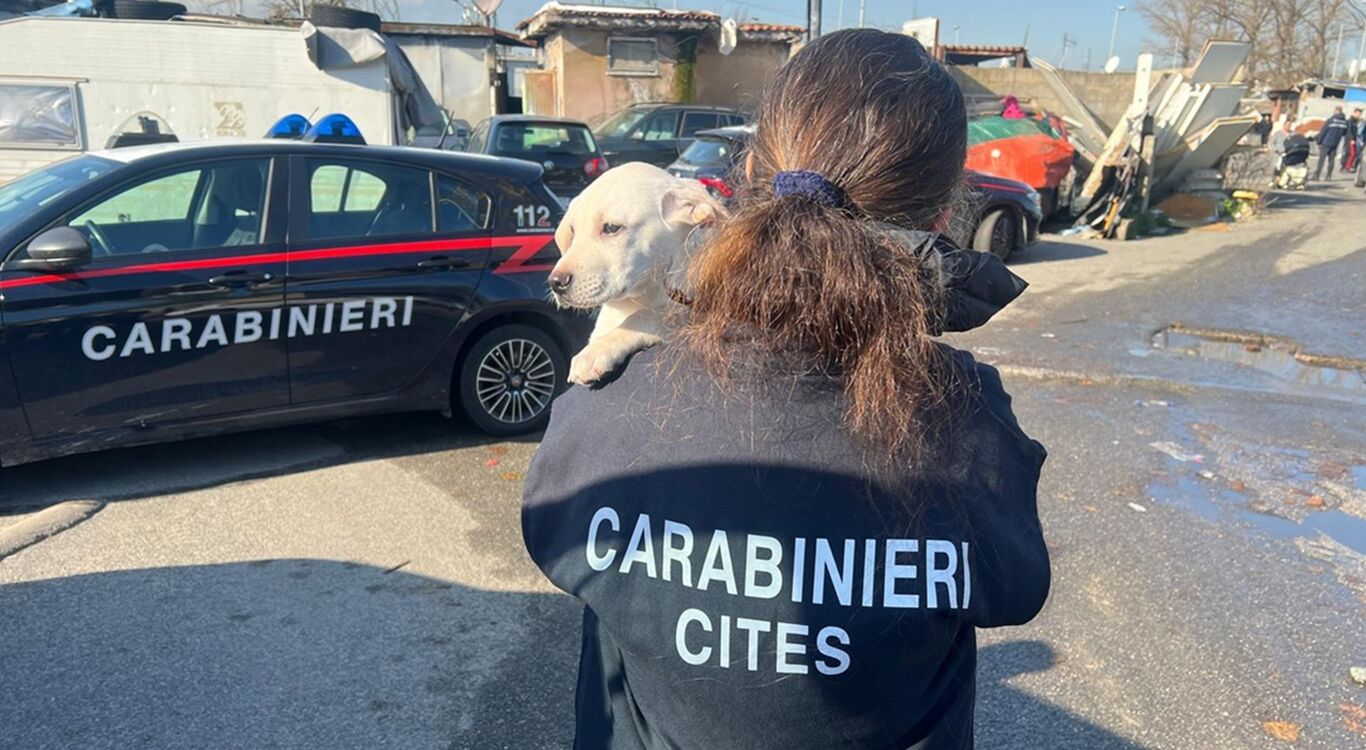 Napoli: controlli ai campi rom. Continua l'operazione “Alto Impatto” dei Carabinieri