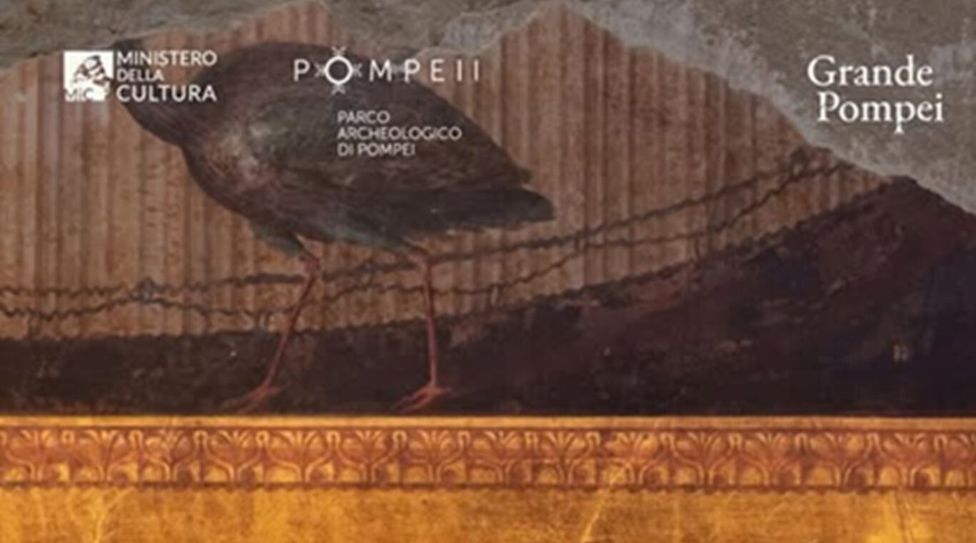 Torre Annunziata, Oplontis: nuovi affreschi e ambienti emergono dagli scavi della Villa di Poppea