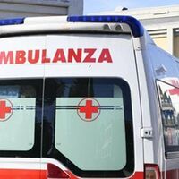 Diego, il cane che ha seguito l'ambulanza per non lasciare solo il suo padrone